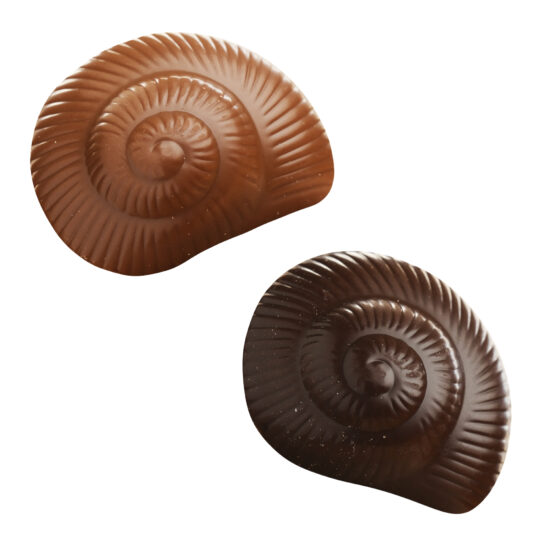 Assorted-Belgian-Chocolate-Shells
