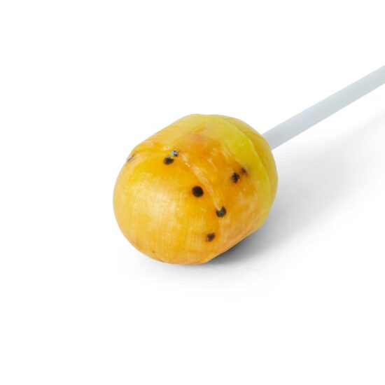 Bon Bon Bum Maracuyá Pieces