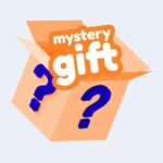 Mystery Gift Package