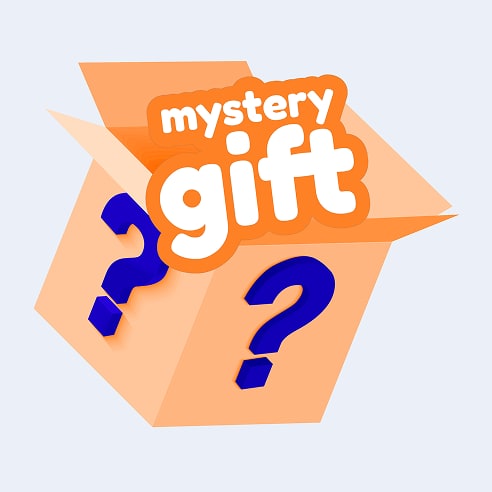 Mystery Gift Package