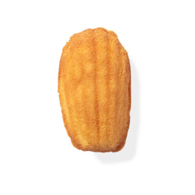 St. Michel Madeleine Pieces