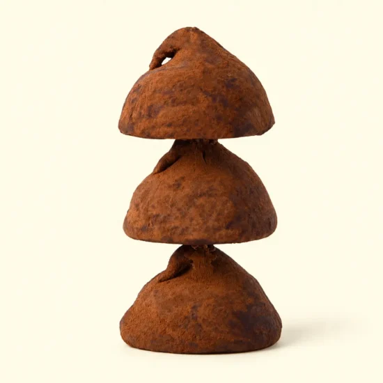 Coffee Cocoa Dusted Truffles Pieces