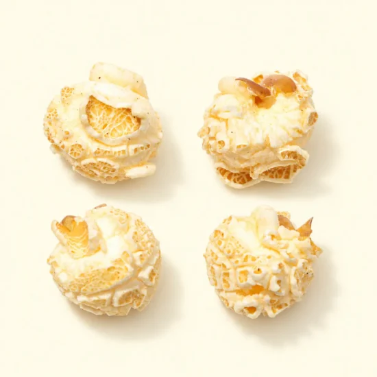 Popcorn with Worcester Sauce Flavoring Pieces